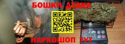 индика Гусиноозёрск