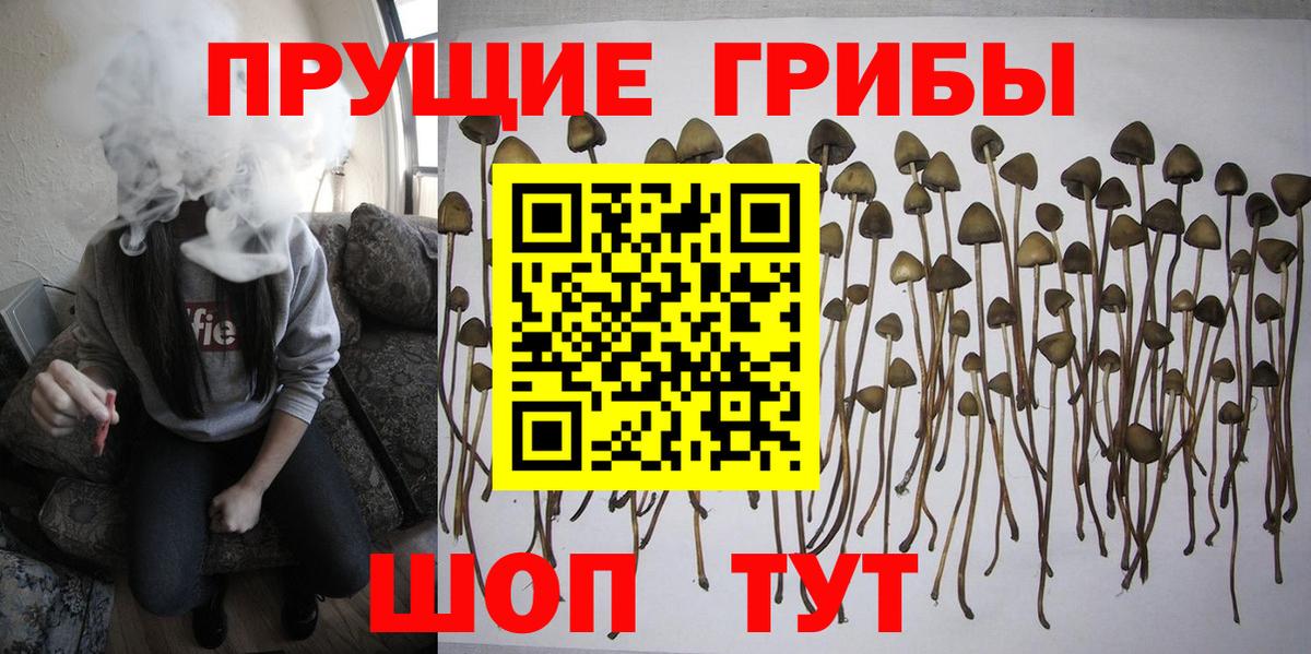 Галлюциногенные грибы мухоморы Норильск