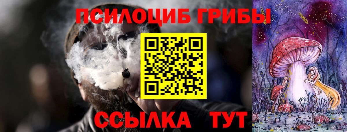 Галлюциногенные грибы Psilocybine cubensis  Вход с VPN  даркнет сайт  Норильск 